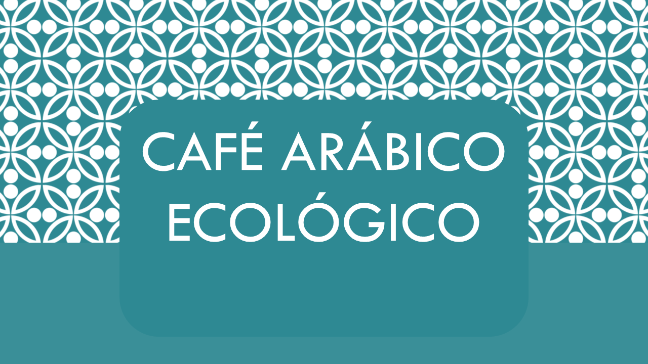 Café arábigo ecológico